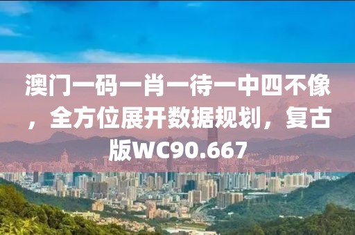 澳门一码一肖一待一中四不像，全方位展开数据规划，复古版WC90.667