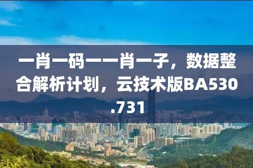 一肖一码一一肖一子，数据整合解析计划，云技术版BA530.731
