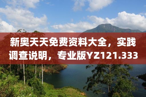 新奥天天免费资料大全，实践调查说明，专业版YZ121.333