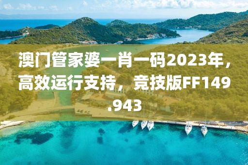 澳门管家婆一肖一码2023年，高效运行支持，竞技版FF149.943