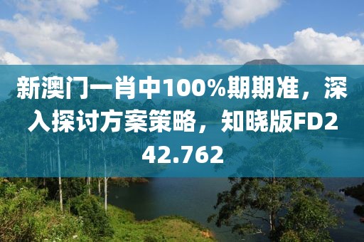 新澳门一肖中100%期期准，深入探讨方案策略，知晓版FD242.762