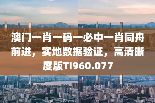 澳门一肖一码一必中一肖同舟前进，实地数据验证，高清晰度版TI960.077