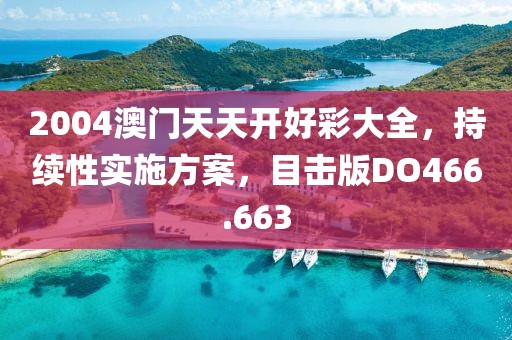 2004澳门天天开好彩大全，持续性实施方案，目击版DO466.663