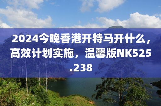 2024今晚香港开特马开什么，高效计划实施，温馨版NK525.238
