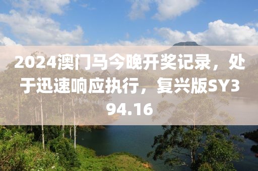 2024澳门马今晚开奖记录，处于迅速响应执行，复兴版SY394.16