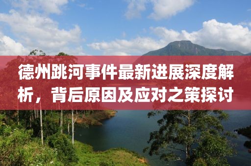 德州跳河事件最新进展深度解析，背后原因及应对之策探讨