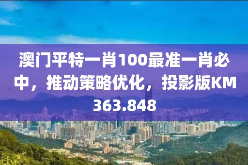 澳门平特一肖100最准一肖必中，推动策略优化，投影版KM363.848