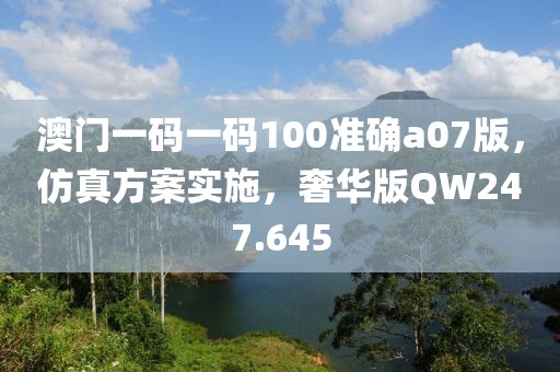 澳门一码一码100准确a07版，仿真方案实施，奢华版QW247.645