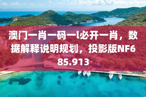 澳门一肖一码一l必开一肖，数据解释说明规划，投影版NF685.913