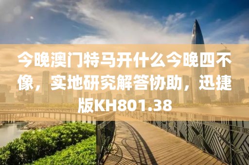 今晚澳门特马开什么今晚四不像，实地研究解答协助，迅捷版KH801.38