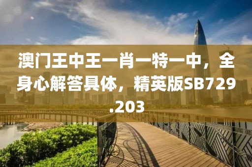 澳门王中王一肖一特一中，全身心解答具体，精英版SB729.203