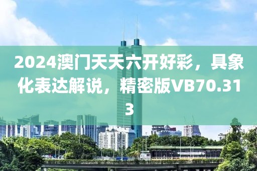 2024澳门天天六开好彩，具象化表达解说，精密版VB70.313