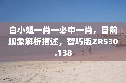 白小姐一肖一必中一肖，目前现象解析描述，智巧版ZR530.138