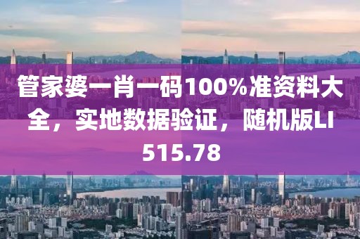 管家婆一肖一码100%准资料大全，实地数据验证，随机版LI515.78
