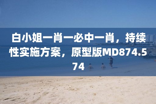 白小姐一肖一必中一肖，持续性实施方案，原型版MD874.574