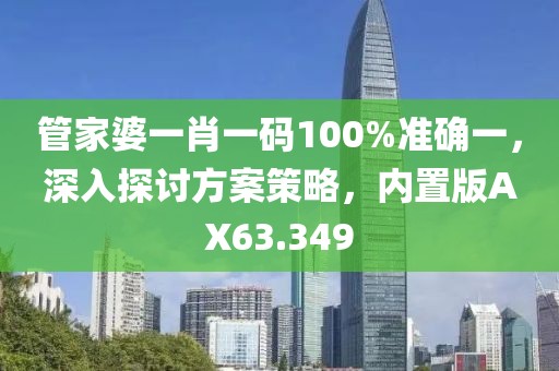 管家婆一肖一码100%准确一，深入探讨方案策略，内置版AX63.349