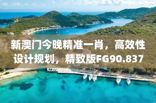 新澳门今晚精准一肖，高效性设计规划，精致版FG90.837