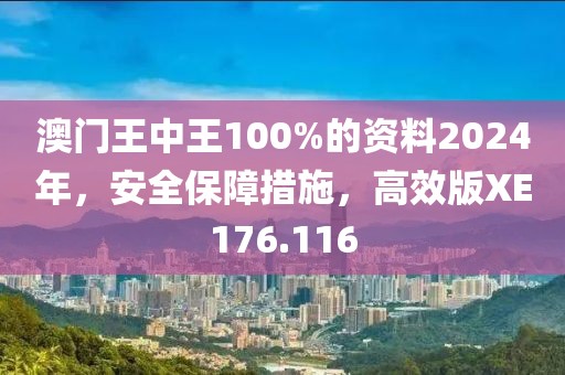 澳门王中王100%的资料2024年，安全保障措施，高效版XE176.116