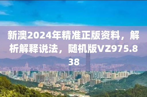 新澳2024年精准正版资料，解析解释说法，随机版VZ975.838