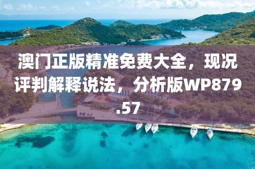 澳门正版精准免费大全，现况评判解释说法，分析版WP879.57