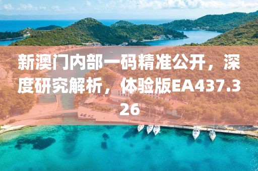新澳门内部一码精准公开，深度研究解析，体验版EA437.326