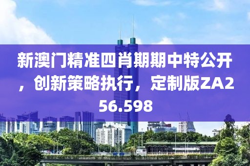 新澳门精准四肖期期中特公开，创新策略执行，定制版ZA256.598