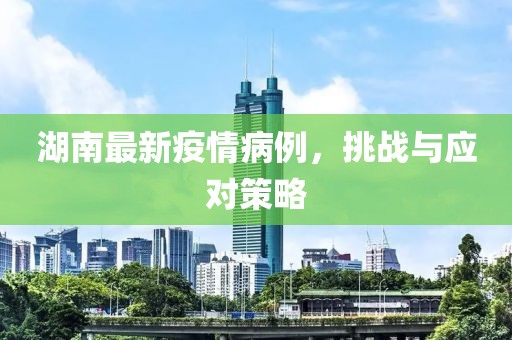 湖南最新疫情病例，挑战与应对策略