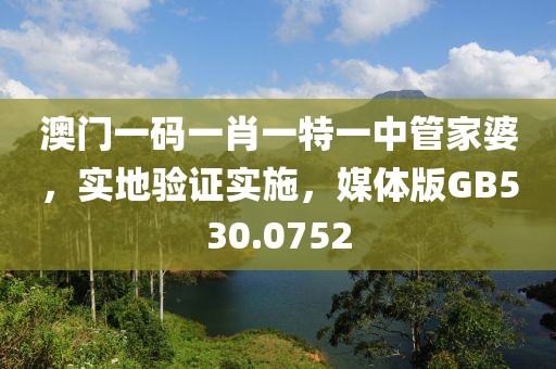 澳门一码一肖一特一中管家婆，实地验证实施，媒体版GB530.0752