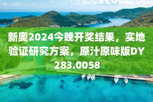 新奥2024今晚开奖结果，实地验证研究方案，原汁原味版DY283.0058