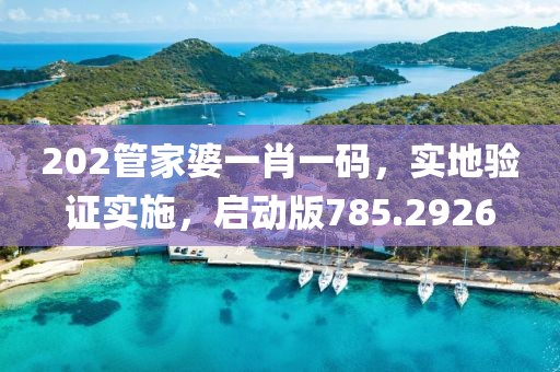 202管家婆一肖一码，实地验证实施，启动版785.2926