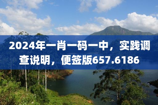 2024年一肖一码一中，实践调查说明，便签版657.6186
