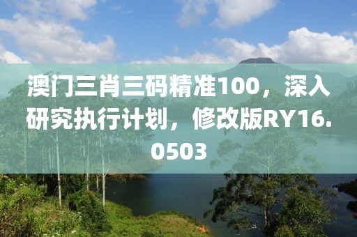 澳门三肖三码精准100，深入研究执行计划，修改版RY16.0503