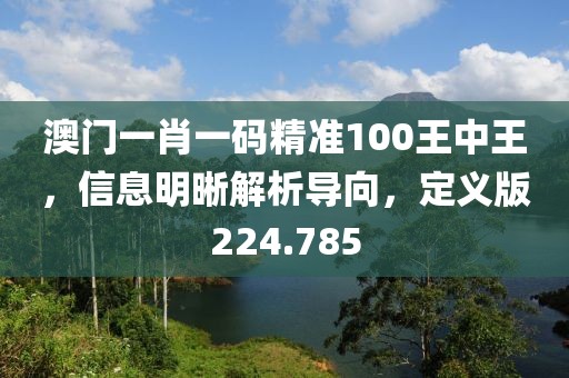 澳门一肖一码精准100王中王，信息明晰解析导向，定义版224.785