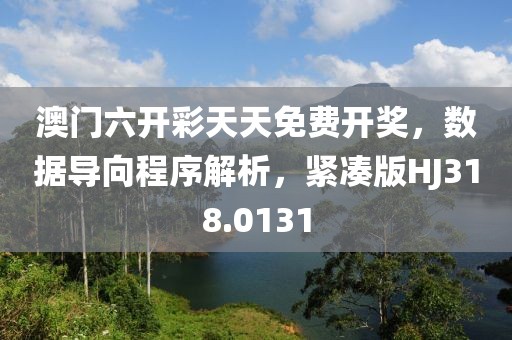 澳门六开彩天天免费开奖，数据导向程序解析，紧凑版HJ318.0131