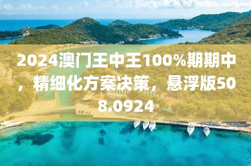 2024澳门王中王100%期期中，精细化方案决策，悬浮版508.0924