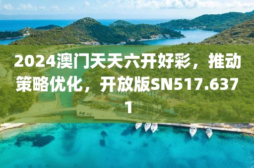 2024澳门天天六开好彩，推动策略优化，开放版SN517.6371