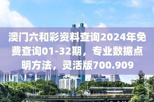 澳门六和彩资料查询2024年免费查询01-32期，专业数据点明方法，灵活版700.909