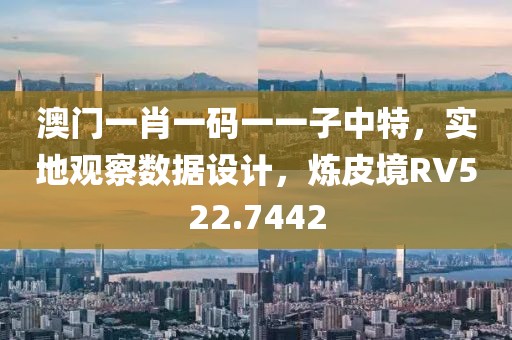 澳门一肖一码一一子中特，实地观察数据设计，炼皮境RV522.7442