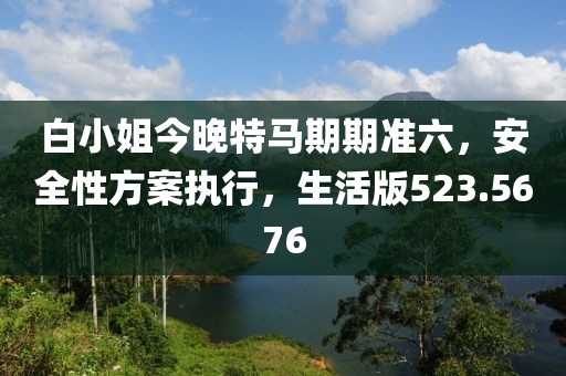 白小姐今晚特马期期准六，安全性方案执行，生活版523.5676
