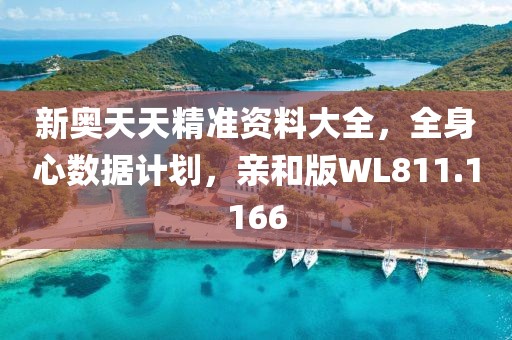 新奥天天精准资料大全，全身心数据计划，亲和版WL811.1166