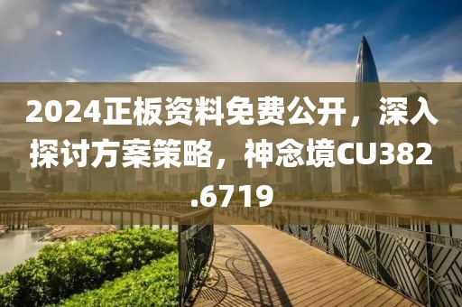 2024正板资料免费公开，深入探讨方案策略，神念境CU382.6719