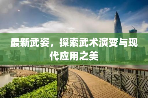最新武姿，探索武术演变与现代应用之美