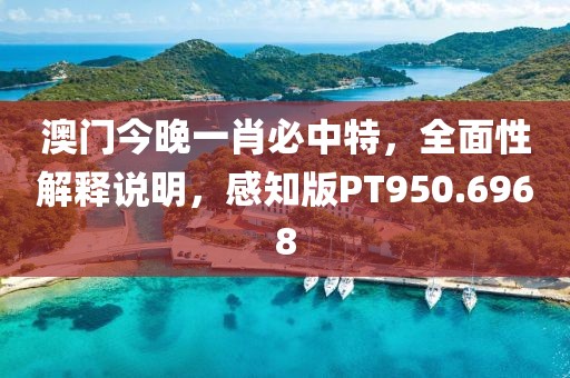 澳门今晚一肖必中特，全面性解释说明，感知版PT950.6968