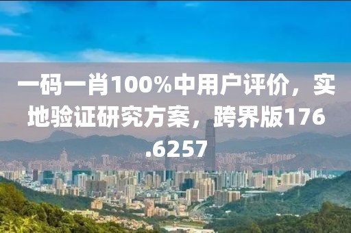 一码一肖100%中用户评价，实地验证研究方案，跨界版176.6257