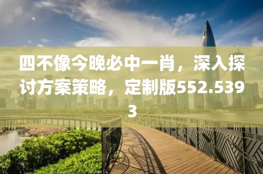 四不像今晚必中一肖，深入探讨方案策略，定制版552.5393