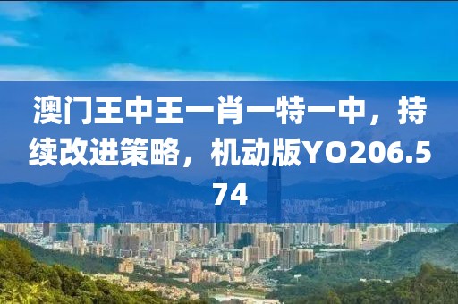 澳门王中王一肖一特一中，持续改进策略，机动版YO206.574