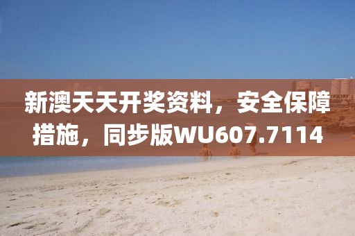 新澳天天开奖资料，安全保障措施，同步版WU607.7114