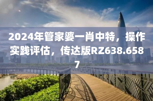 2024年管家婆一肖中特，操作实践评估，传达版RZ638.6587
