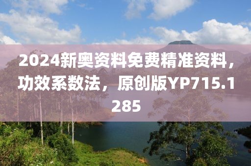 2024新奥资料免费精准资料，功效系数法，原创版YP715.1285