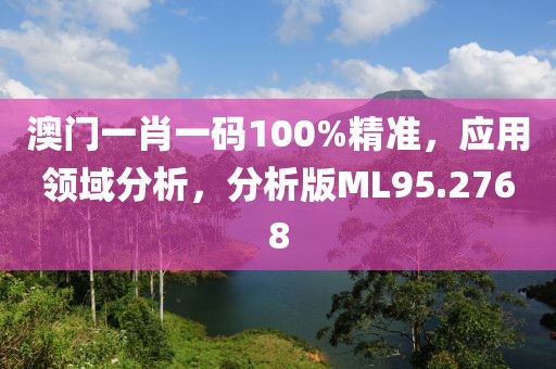 澳门一肖一码100%精准，应用领域分析，分析版ML95.2768
